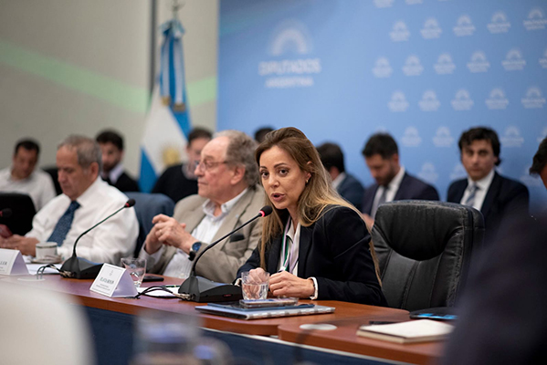 Flavia Royón presentó los lineamientos de la política energética para el 2023